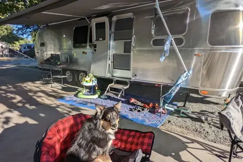 Luxury Airstream 30ft, Sleeps 8 + Pets, Delivery