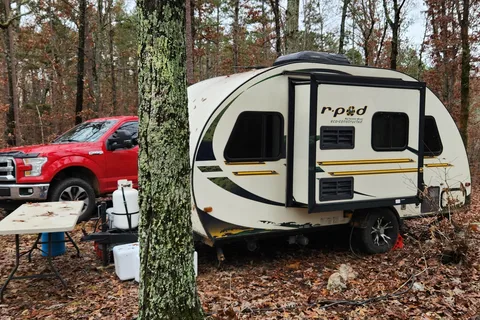 Scoey's Forest River R-Pod RP177 Micro Trailer