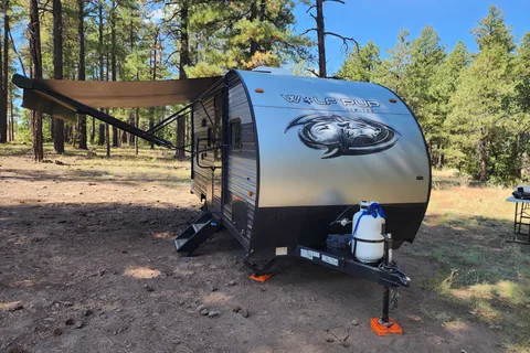 Forest River Cherokee Wolf Pup 16BHS Travel Trailer