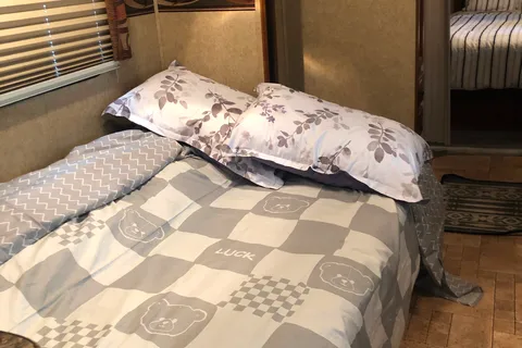 YAN SCHULTZ 's Skyline SELECT260 Travel Trailer