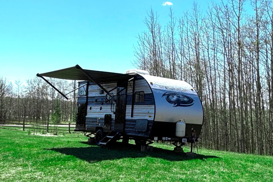 Vivian's 2022 Forest River Wolf Pup 17JG Travel Trailer