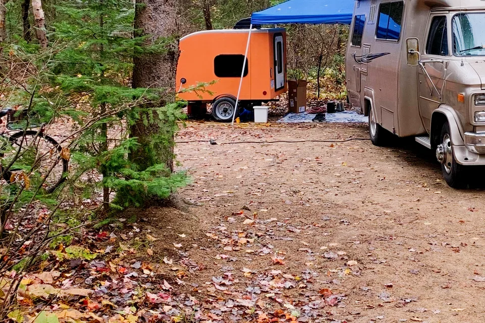 Little Orange