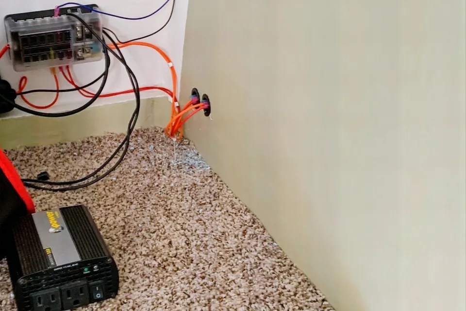 Little Orange