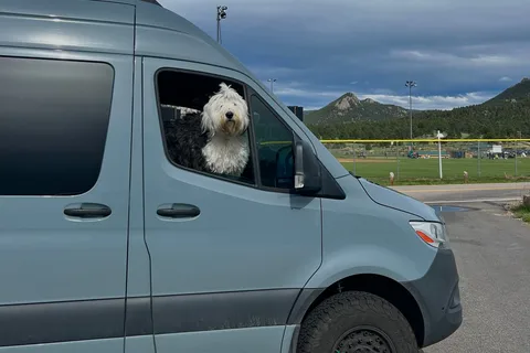2022 Mercedes Benz Sprinter 170WB - Juniper