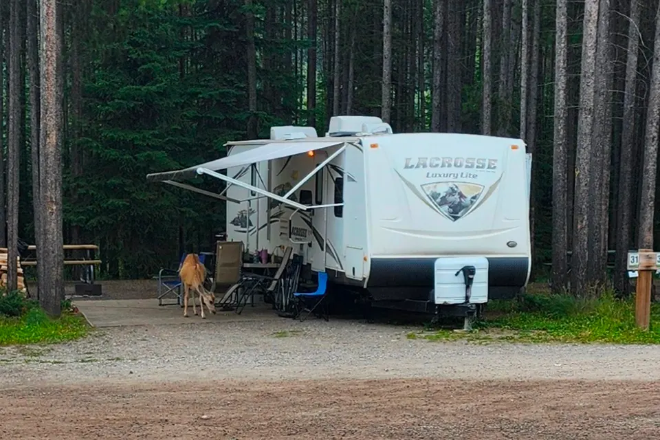 Allan's Forest River Lacrosse luxury lite Travel Trailer