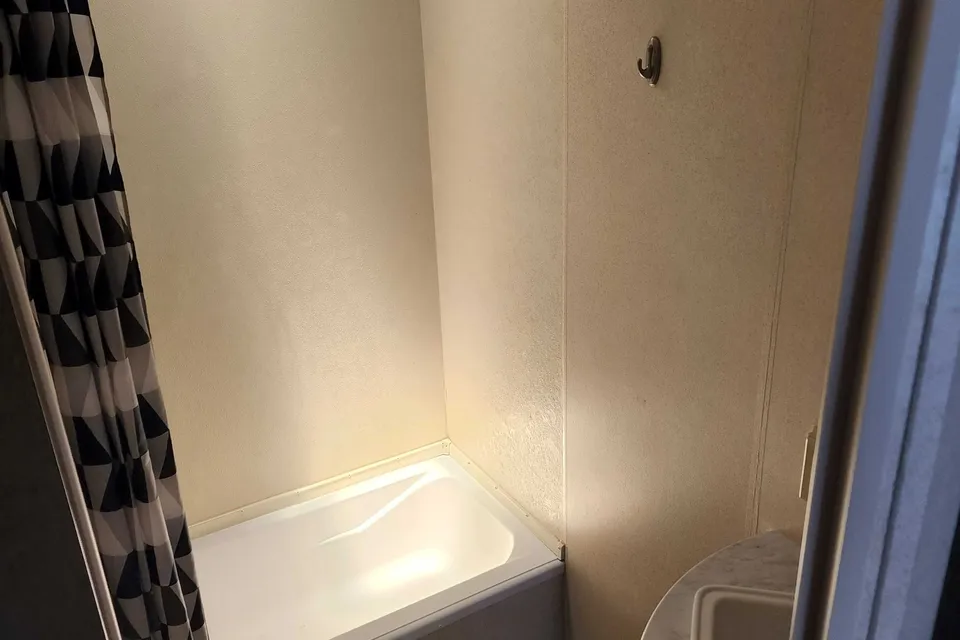 Danny's Forest River Wildwood X Lite Travel Trailer