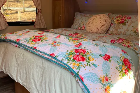 Charming vintage cruiser