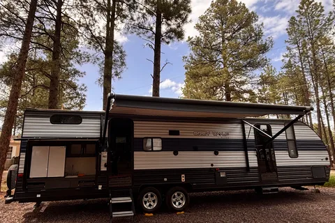 DARK SKY - Forest River GREY WOLF Travel Trailer