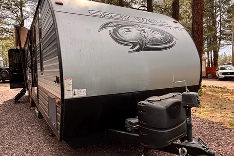 DARK SKY - Forest River GREY WOLF Travel Trailer