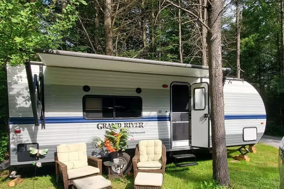 Northern Gypsy