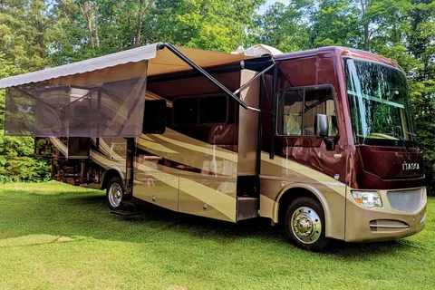 Miss Daisy - Space and Comfort