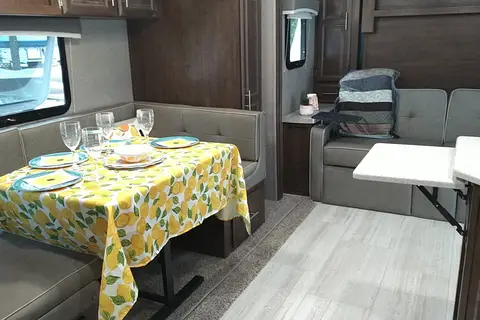 Vicki's Forest River Mini Lite Travel Trailer