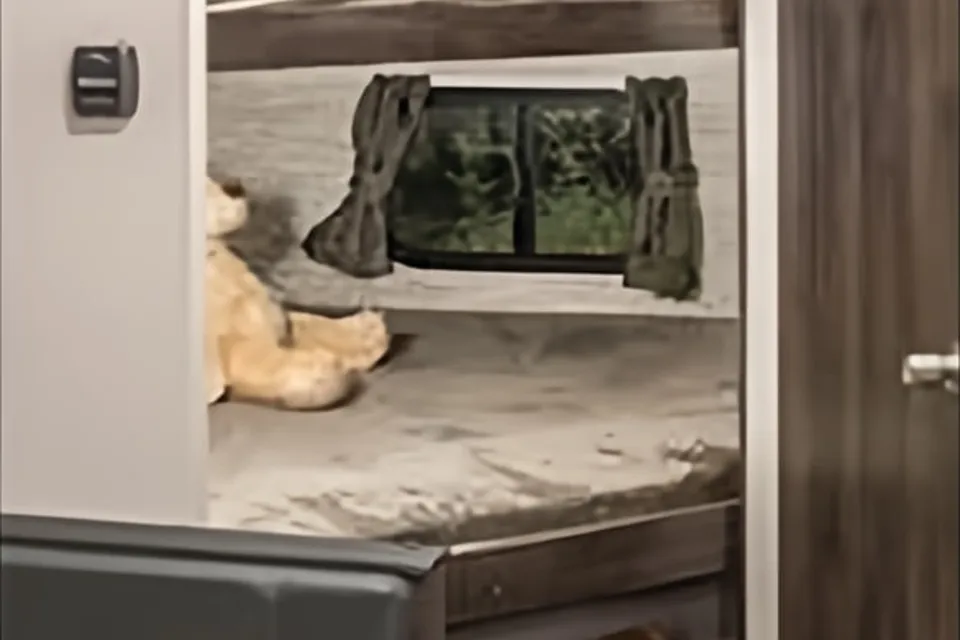 KZ 2019 Sportsmen Travel Trailer
