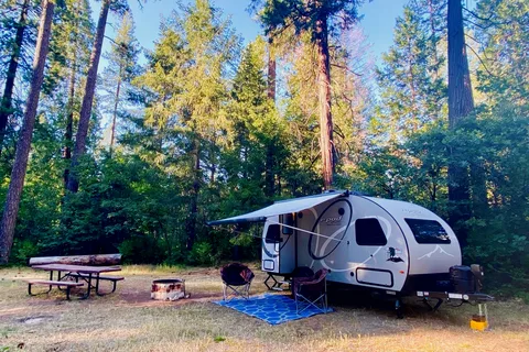 “Pork Chop II” Kid & Pet Friendly 2021 Forest River R-Pod Travel Trailer