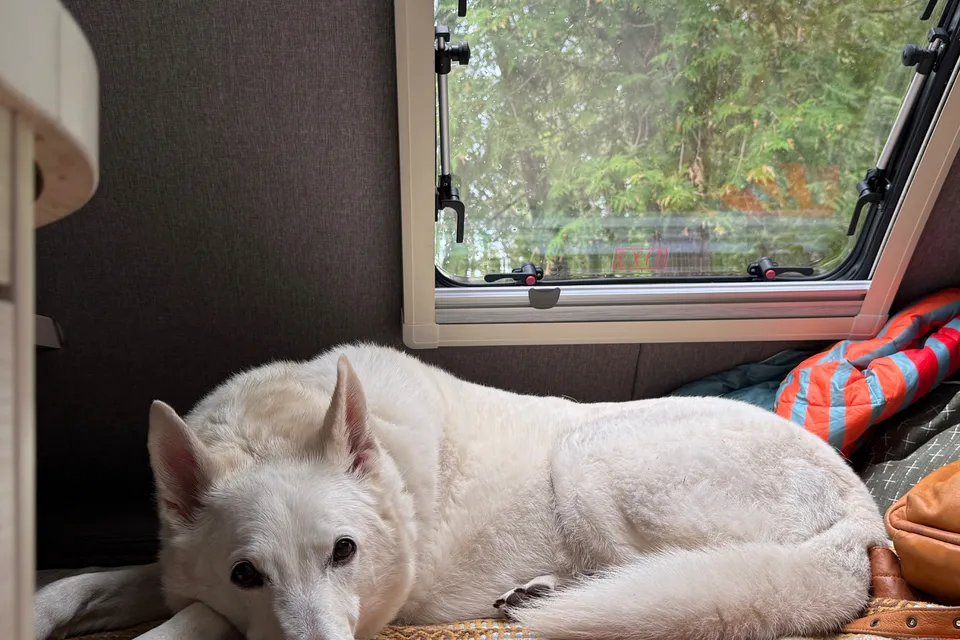 MJ's Custom & Pet Friendly, 2024 nuCamp Tab 400 Boondock Edition Micro Trailer