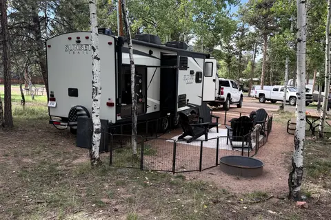 The Sunny Rig | DELIVERY/SET UP | Outdoor Kitchen | Murfreesboro TN