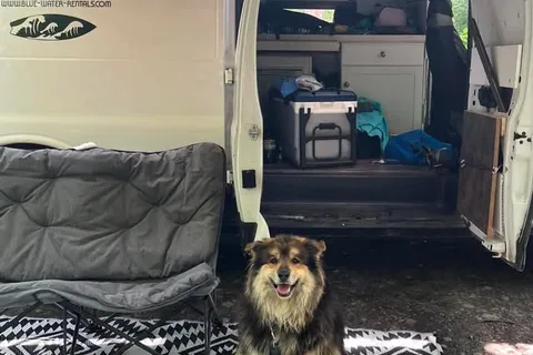 Cold Water Yeti