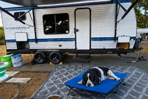 Loaded 2025 Keystone Springdale West 20bhwe Travel Trailer (Aka: Mungojerrie)
