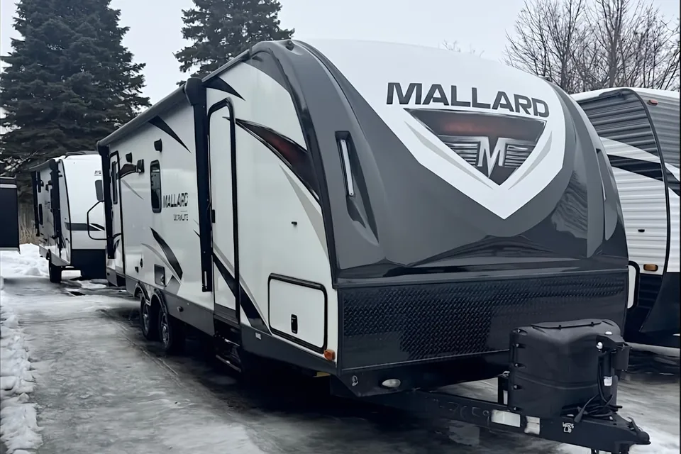 THE MALLARD