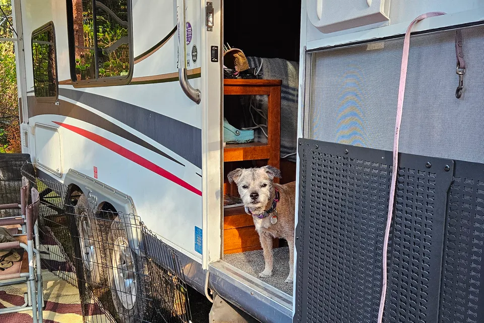 Vancouver Island Dog-Friendly 27ft Tango | Perfect for Camping & Dog Shows