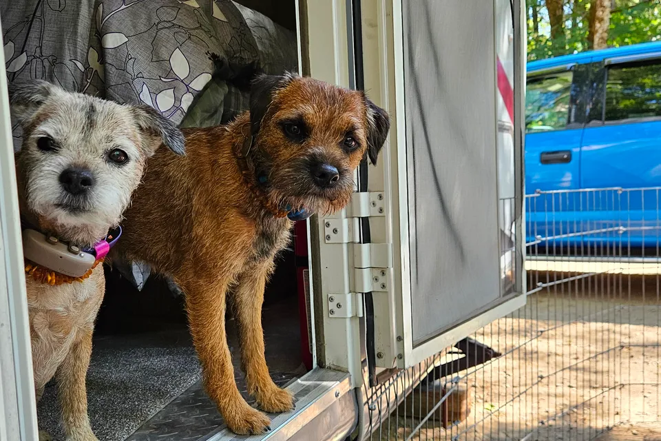 Vancouver Island Dog-Friendly 27ft Tango | Perfect for Camping & Dog Shows
