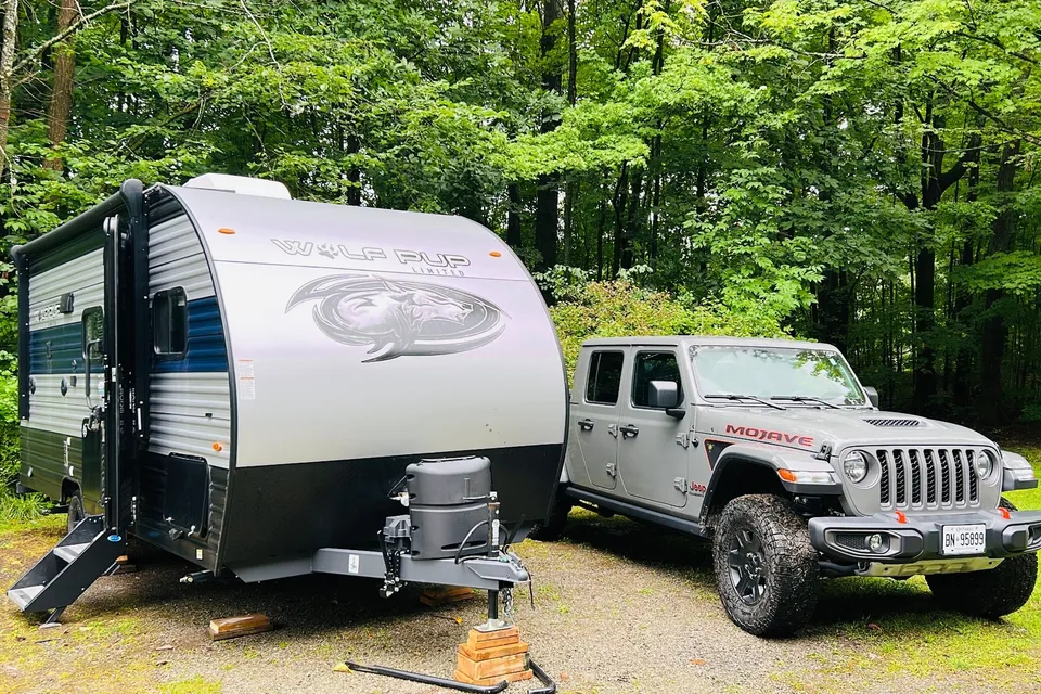 CRisnah's Forest River cherokee wolf pup Travel Trailer