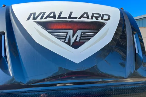 BigJeff's Heartland Mallard 312 Travel Trailer Delivery or Rent in Place