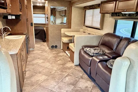 DAVID's Thor Motor Coach ace 30.1 Class A