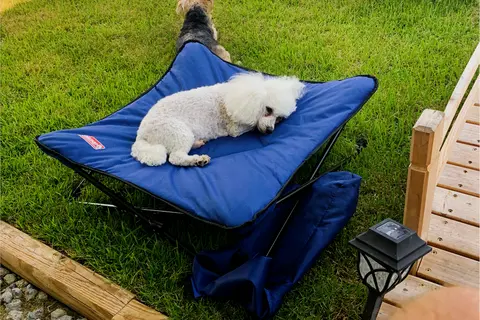 Glamping Made Easy! Full Size Bathroom!! Pet Friendly 