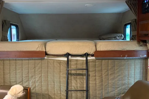Little Missy's Forest River Sunseeker 2650S-CDW Class C