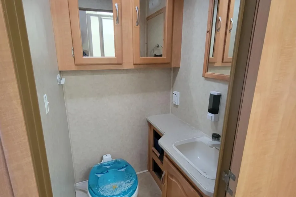 Forest River Sunseeker 3100 Class C