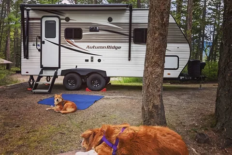 Cozy Couples Camper near Glacier - Pet Friendly!