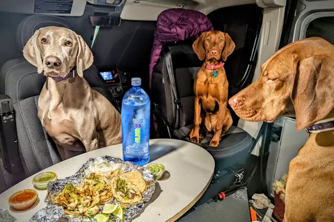 2022 Winnebago Campervan - Pet Friendly (no additional fee) - Sleeps 4