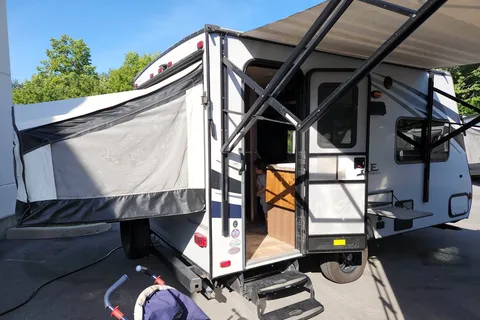 Amy's Hybrid Palomino Solaire 147x