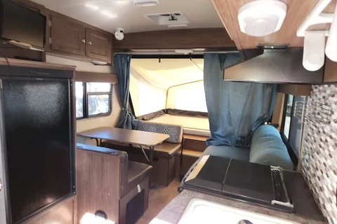 Amy's Hybrid Palomino Solaire 147x