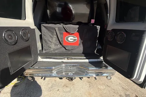UGA SUPAVAN Go Dawgs