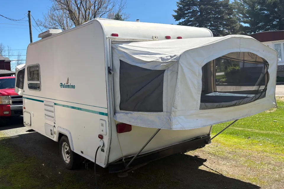 William Palomino Stampede s-17 Hybride