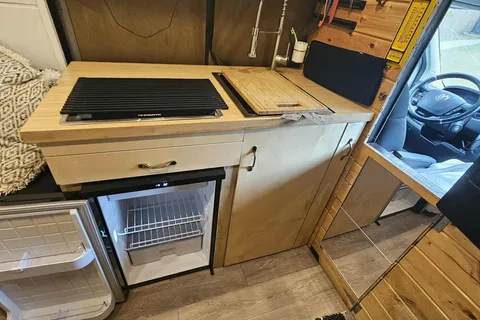 The Roaming Tabby Camper Van