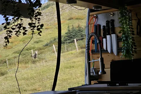 The Roaming Tabby Camper Van