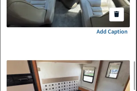 Wild Westy