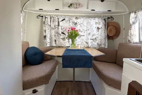 Birdie the Boler 1979 Micro Trailer