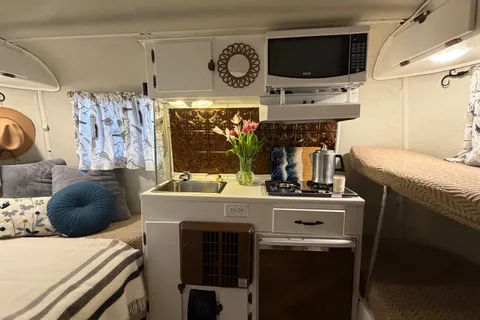 Birdie the Boler 1979 Micro Trailer