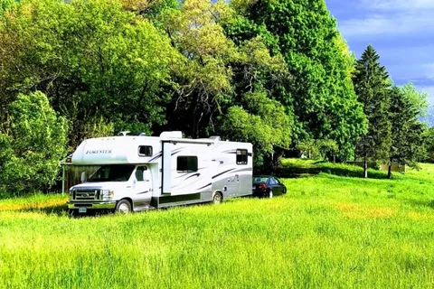 Neamu Farm Forest River 3171DS Ford Class C