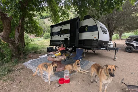 SUV Towable & PET Lovers - 2023 Forest River Cherokee Wolf Pup 