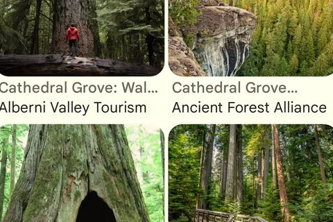 Your Family Adventure awaits!