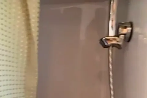 Zénitude