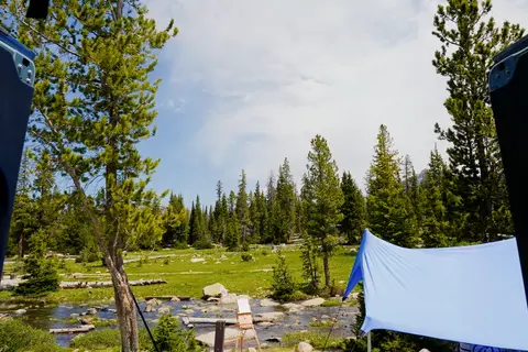 Air conditioned & Starlink® internet equipped "Grizzly" REVEL®