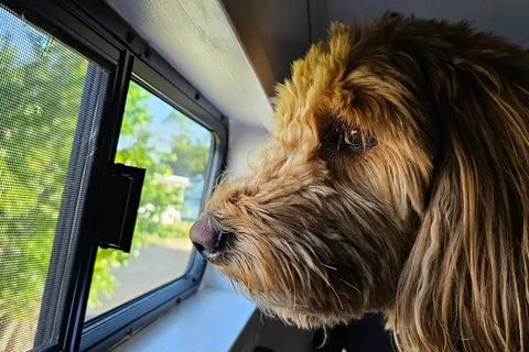 Luna Sea Adventure Van -AC&Heater- Solar-Dog Friendly/Fully Stocked-Off Grid