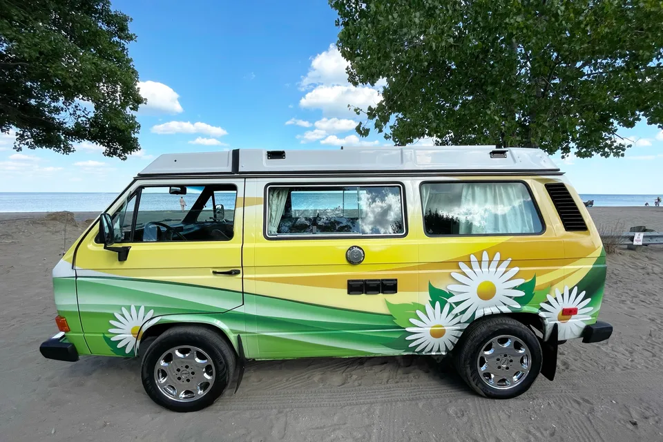 Daisy the Vanagan at the Farm