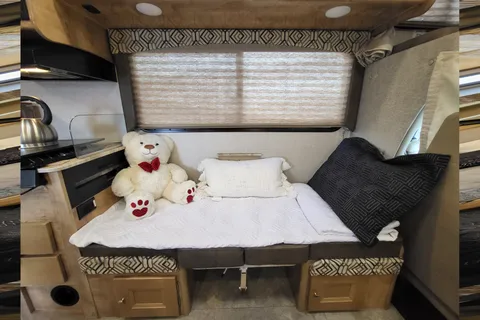 Rv Rentals Way of Life's Like NEW Leprechaun 260RS CML1